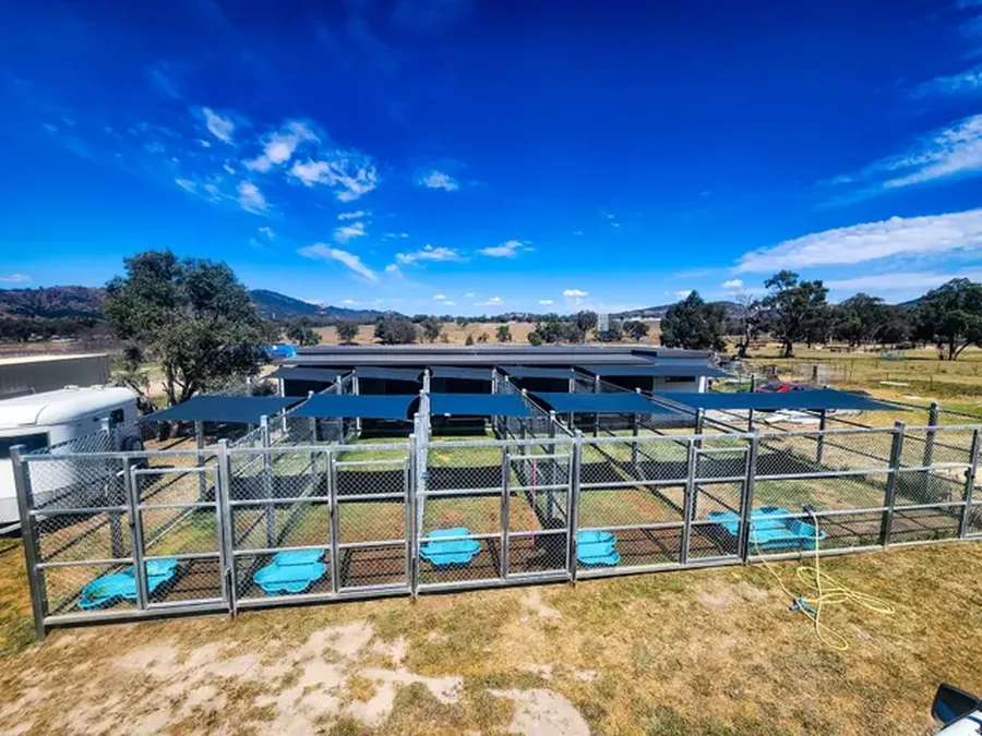 Shade sails covering enclosures at a New England rural property - New England Shade Sails, Tamworth