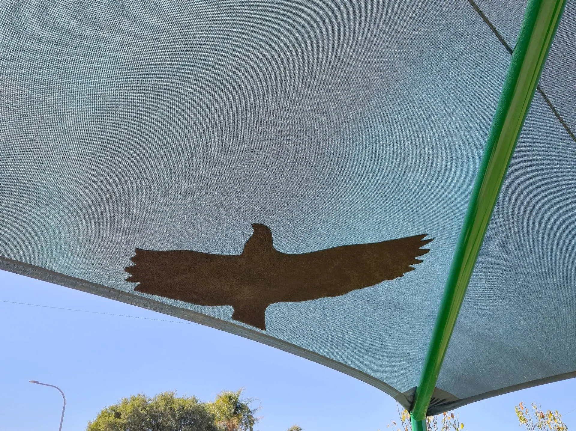 Underside of a shade sail fabric showing a custom eagle cut-out detail - New England Shade Sails, Tamworth